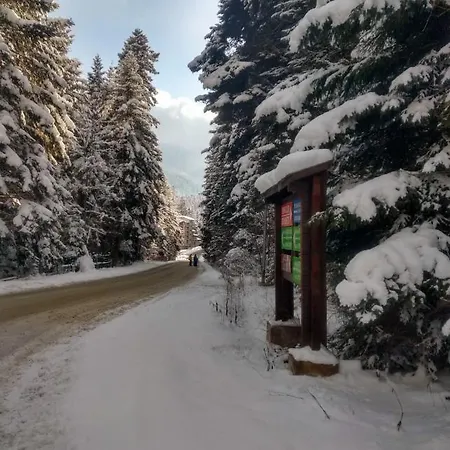 Appartement Kolimechkov