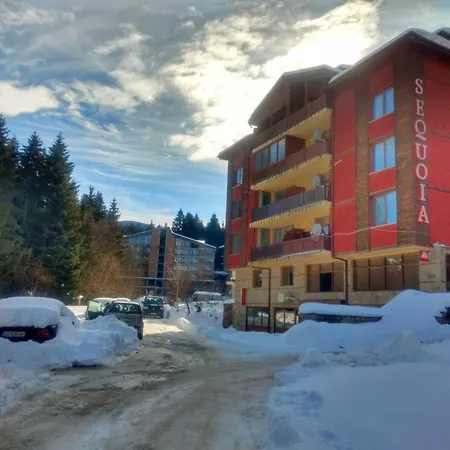 Kolimechkov Borovets
