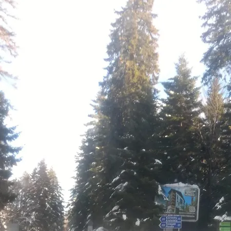 Kolimechkov Appartement Borovets