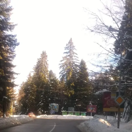 Kolimechkov Borovets