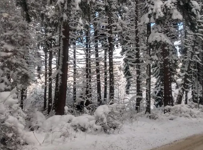 Kolimechkov Διαμέρισμα