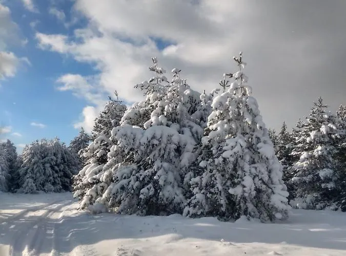 Διαμέρισμα Kolimechkov
