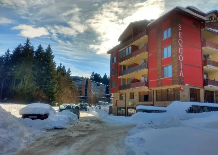 Kolimechkov Borovets